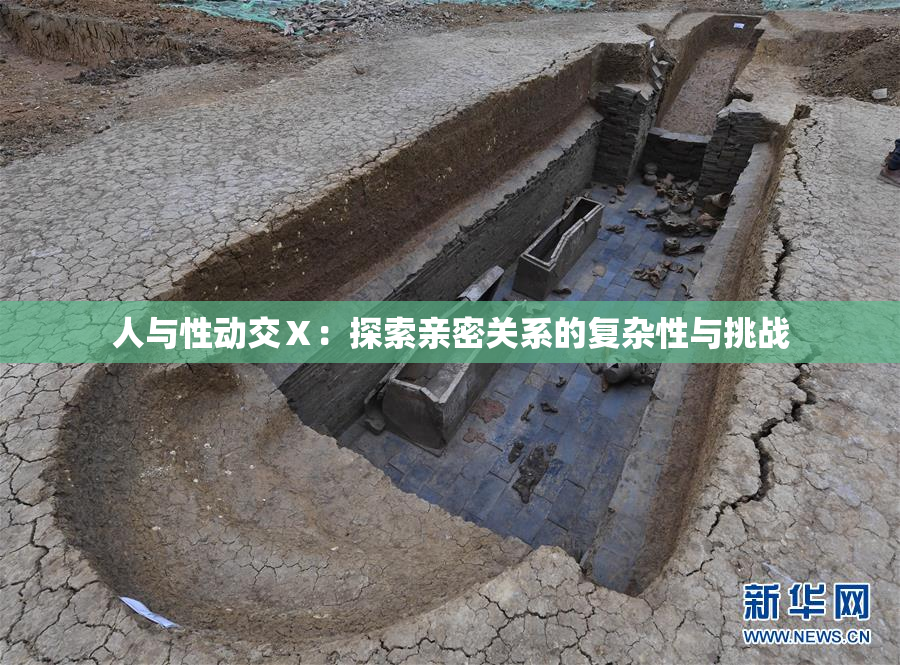 人与性动交Ⅹ：探索亲密关系的复杂性与挑战