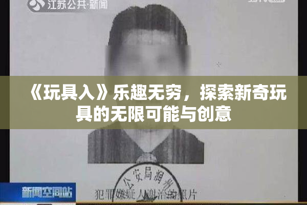 《玩具入》乐趣无穷，探索新奇玩具的无限可能与创意