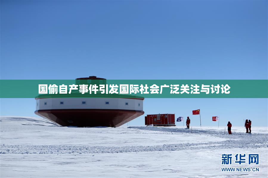 国偷自产事件引发国际社会广泛关注与讨论