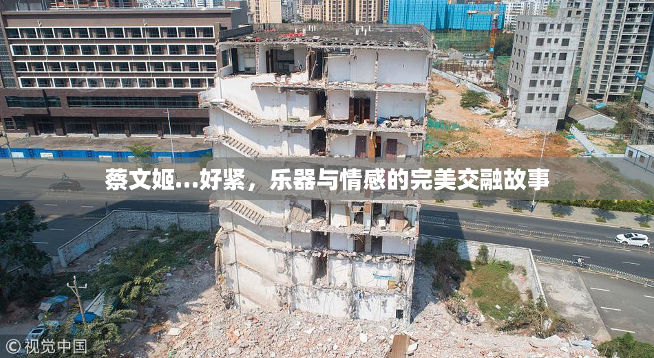 蔡文姬…好紧，乐器与情感的完美交融故事
