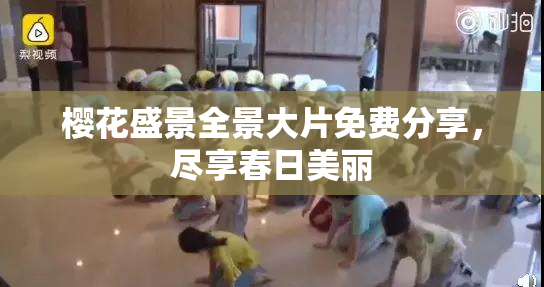 樱花盛景全景大片免费分享，尽享春日美丽