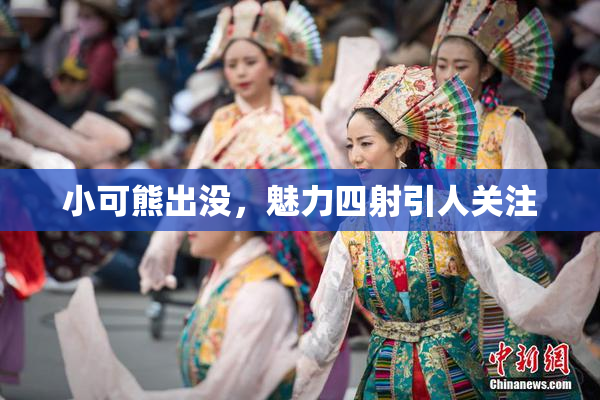 小可熊出没，魅力四射引人关注