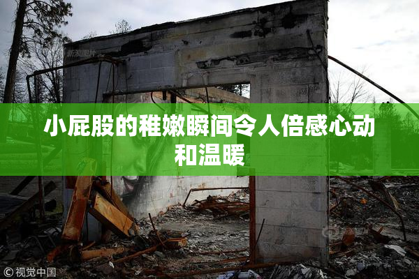 小屁股的稚嫩瞬间令人倍感心动和温暖