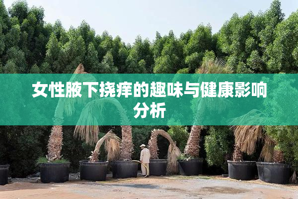 女性腋下挠痒的趣味与健康影响分析