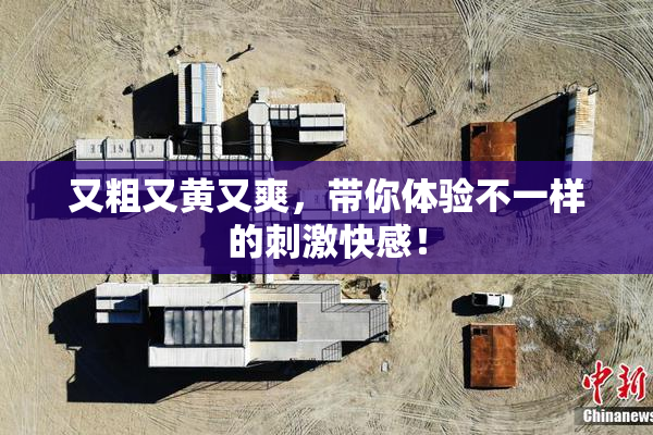 又粗又黄又爽，带你体验不一样的刺激快感！