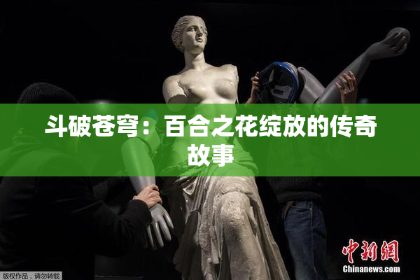 斗破苍穹：百合之花绽放的传奇故事