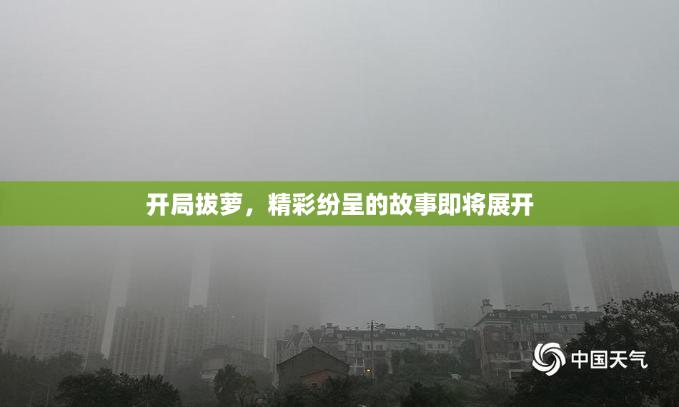 开局拔萝，精彩纷呈的故事即将展开