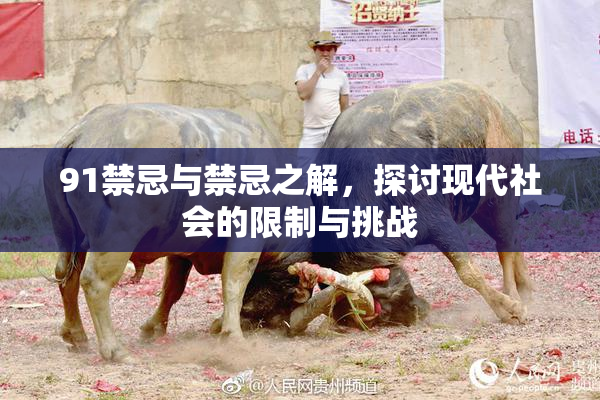 91禁忌与禁忌之解，探讨现代社会的限制与挑战