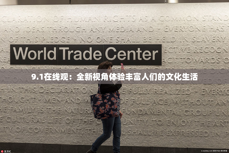 9.1在线观：全新视角体验丰富人们的文化生活