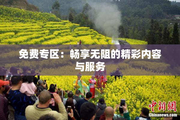 免费专区：畅享无阻的精彩内容与服务
