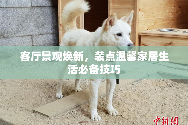 客厅景观焕新，装点温馨家居生活必备技巧