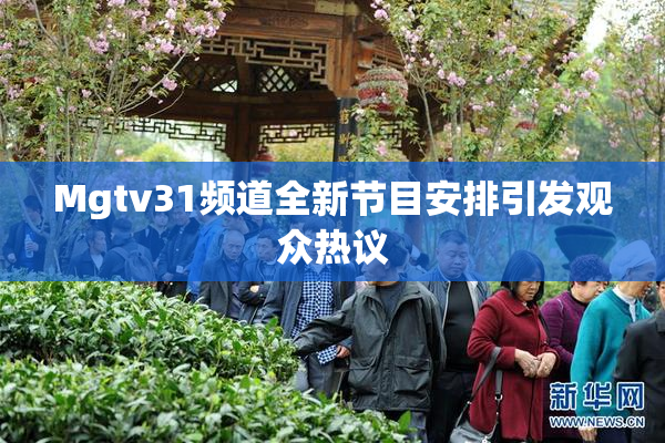 Mgtv31频道全新节目安排引发观众热议