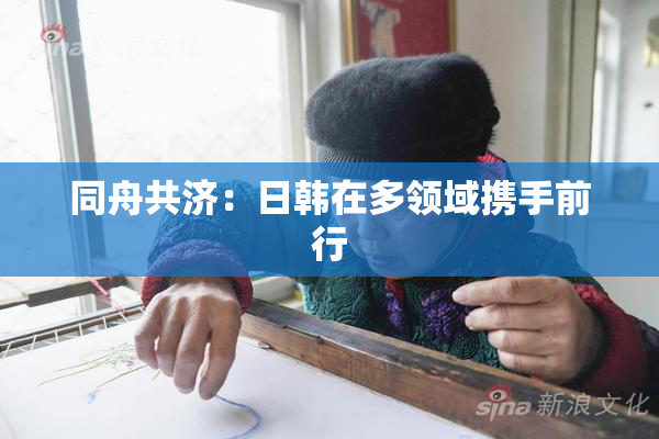 同舟共济：日韩在多领域携手前行