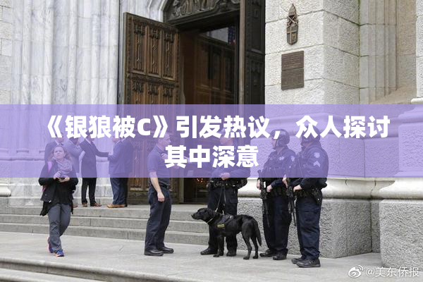 《银狼被C》引发热议，众人探讨其中深意