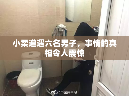 小柔遭遇六名男子，事情的真相令人震惊