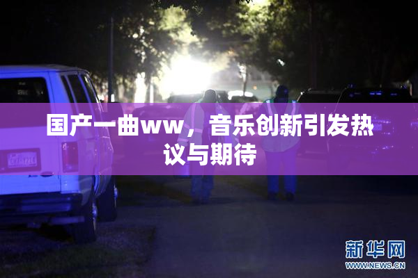 国产一曲ww，音乐创新引发热议与期待