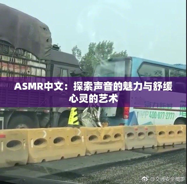 ASMR中文：探索声音的魅力与舒缓心灵的艺术