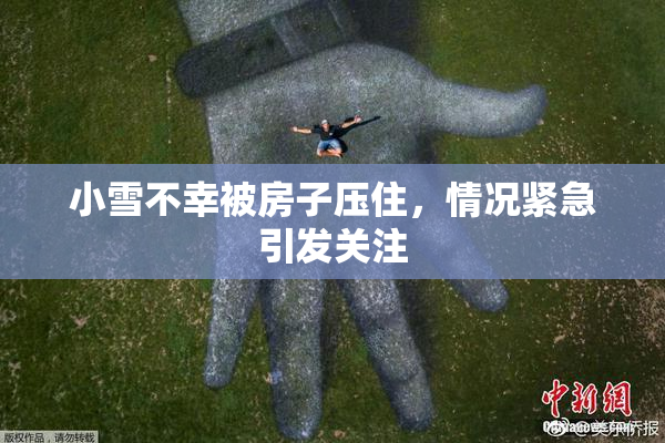 小雪不幸被房子压住，情况紧急引发关注
