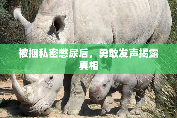 被捆私密憋尿后，勇敢发声揭露真相