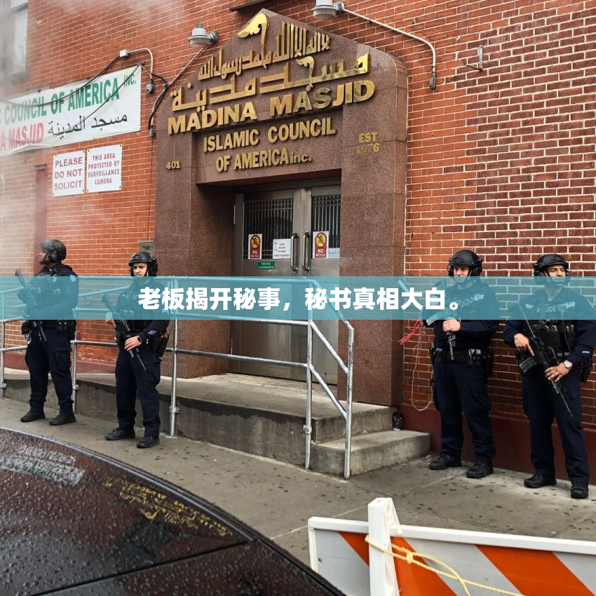 老板揭开秘事，秘书真相大白。