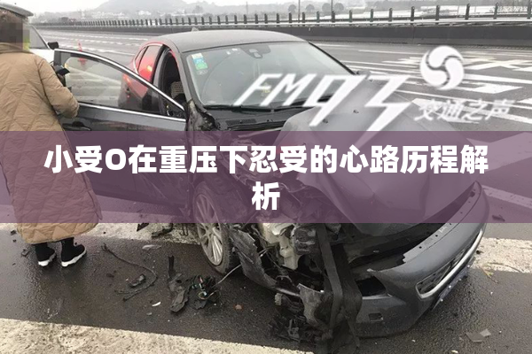 小受O在重压下忍受的心路历程解析