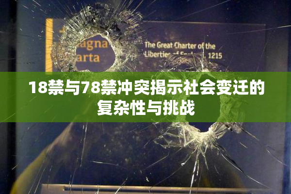 18禁与78禁冲突揭示社会变迁的复杂性与挑战