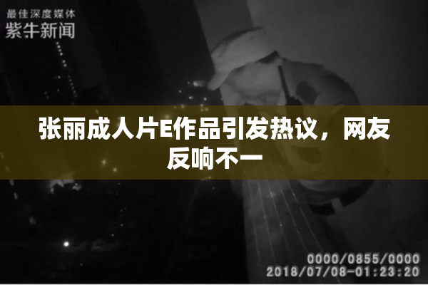 张丽成人片E作品引发热议，网友反响不一