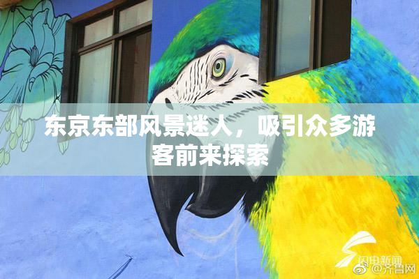 东京东部风景迷人，吸引众多游客前来探索