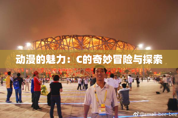 动漫的魅力：C的奇妙冒险与探索