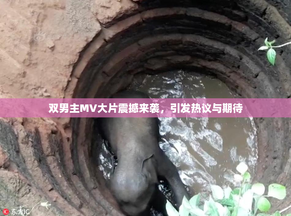 双男主MV大片震撼来袭，引发热议与期待