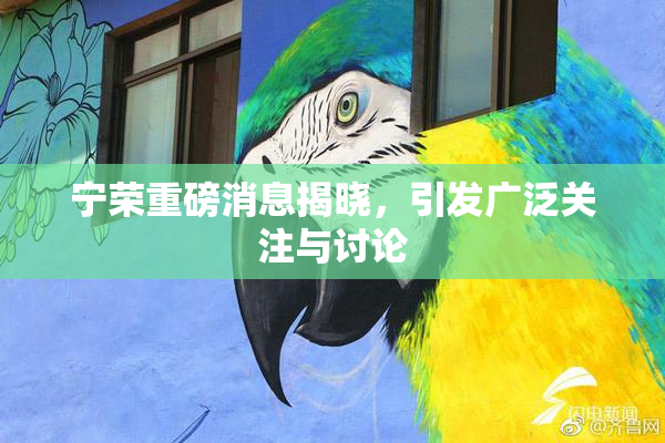 宁荣重磅消息揭晓，引发广泛关注与讨论