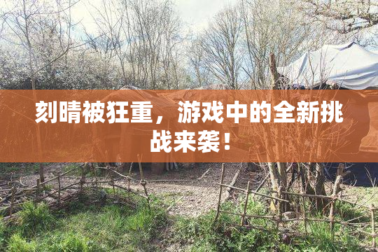 刻晴被狂重，游戏中的全新挑战来袭！