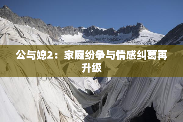 公与媳2：家庭纷争与情感纠葛再升级