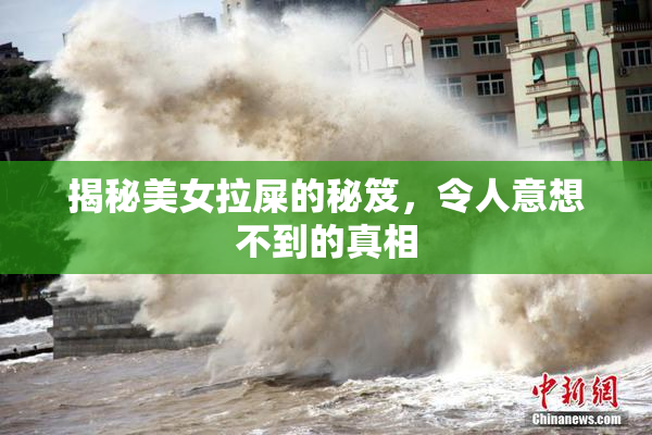 揭秘美女拉屎的秘笈，令人意想不到的真相