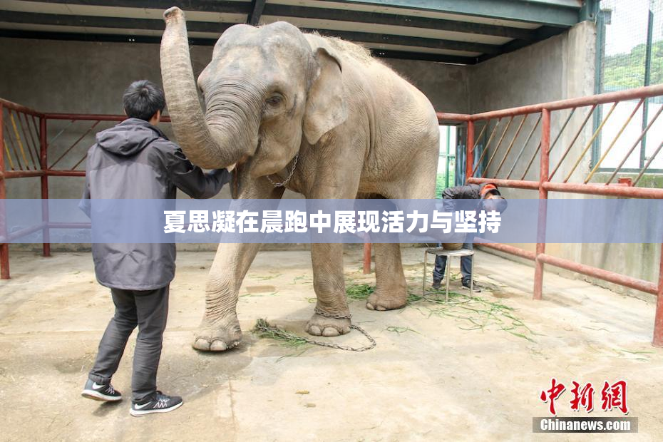 夏思凝在晨跑中展现活力与坚持
