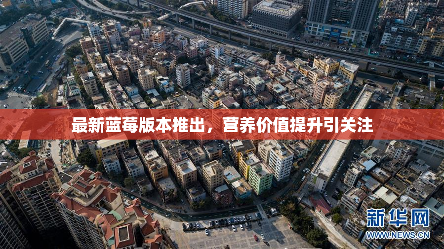最新蓝莓版本推出，营养价值提升引关注