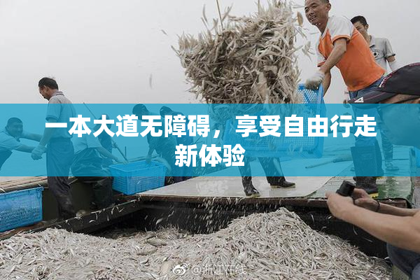 一本大道无障碍，享受自由行走新体验