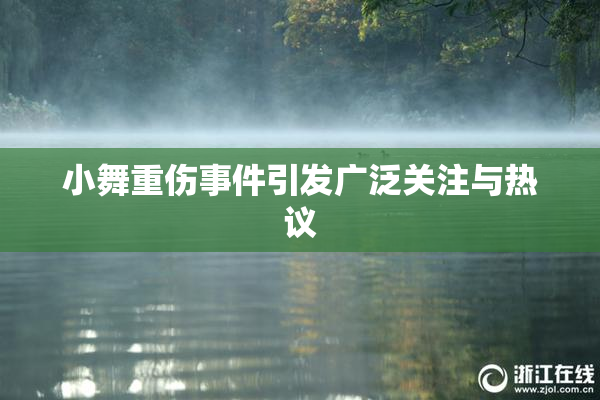 小舞重伤事件引发广泛关注与热议