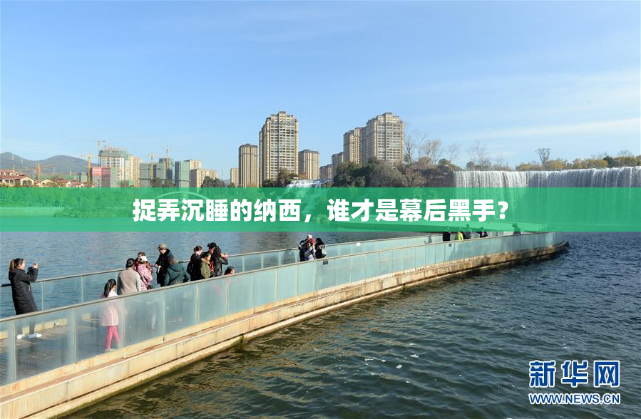 捉弄沉睡的纳西，谁才是幕后黑手？