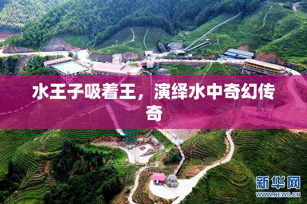 水王子吸着王，演绎水中奇幻传奇