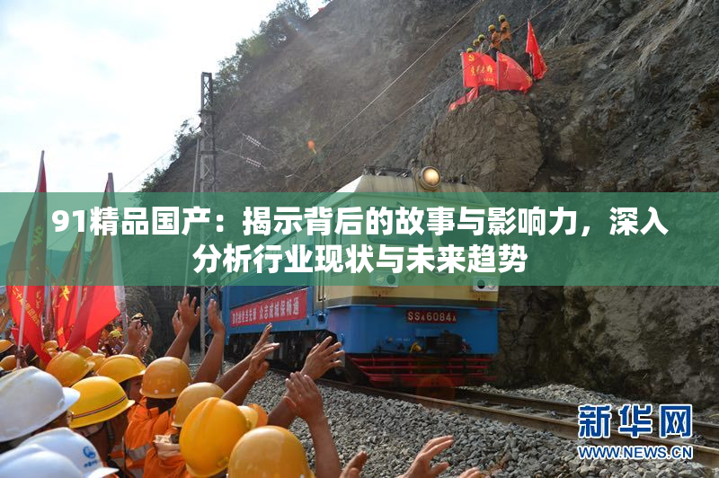91精品国产：揭示背后的故事与影响力，深入分析行业现状与未来趋势