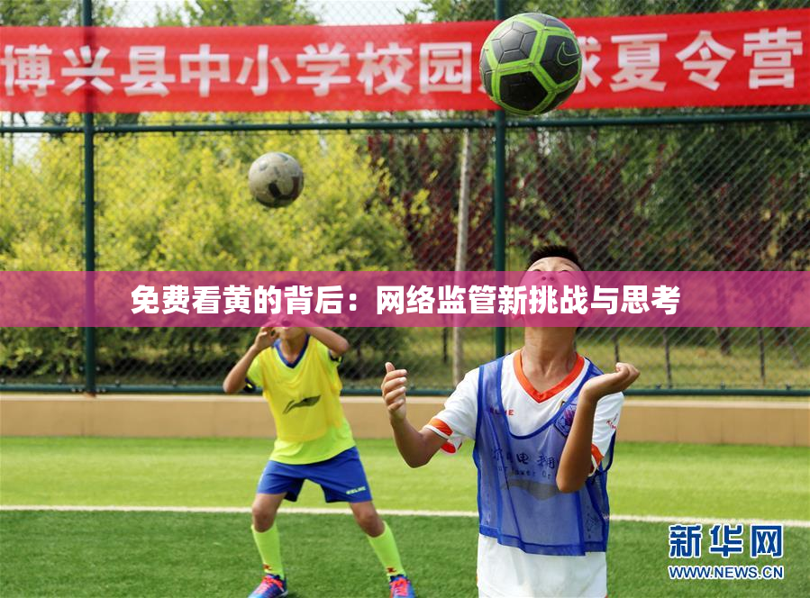 免费看黄的背后：网络监管新挑战与思考