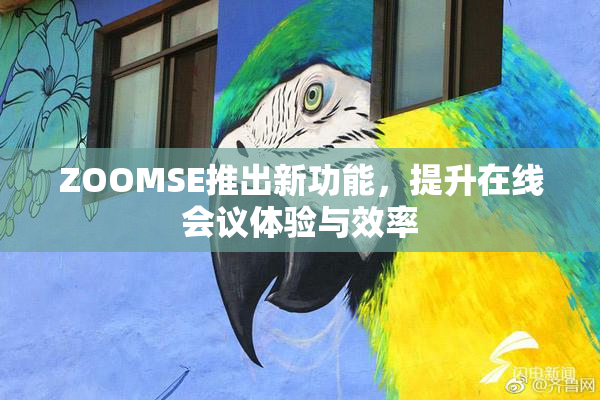 ZOOMSE推出新功能，提升在线会议体验与效率