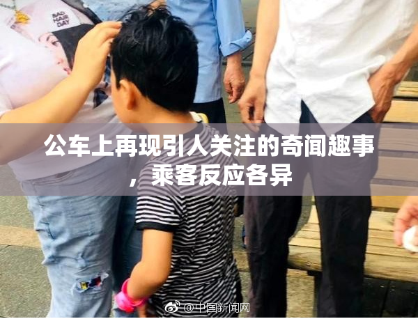 公车上再现引人关注的奇闻趣事，乘客反应各异