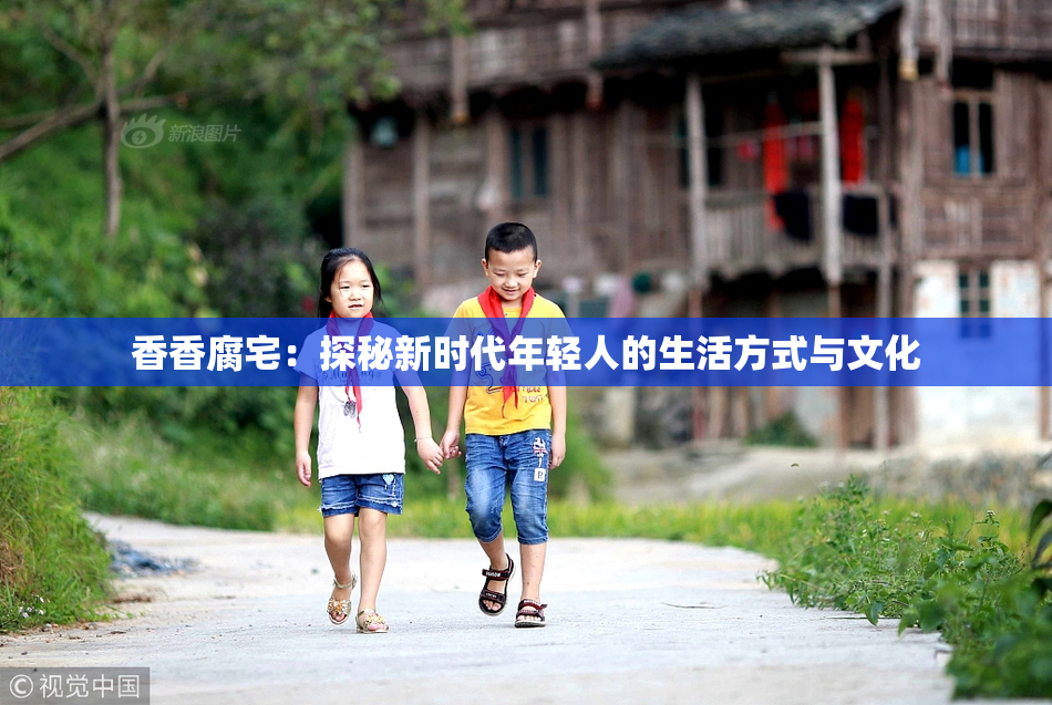 香香腐宅：探秘新时代年轻人的生活方式与文化