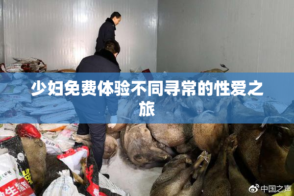 少妇免费体验不同寻常的性爱之旅