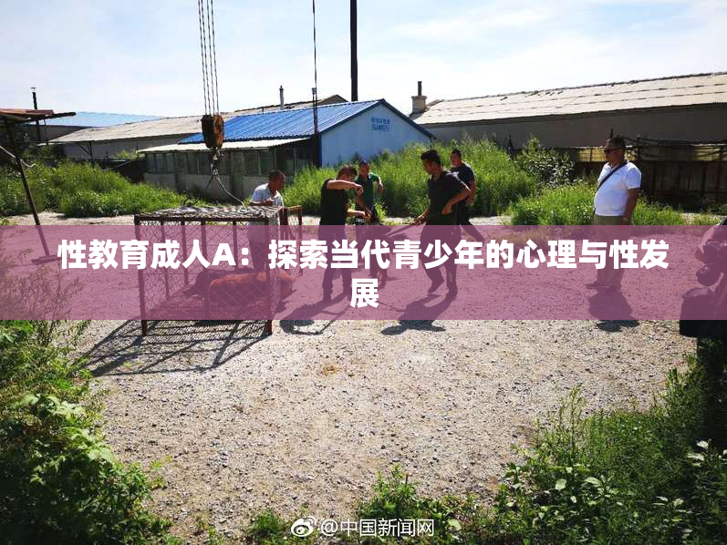 性教育成人A：探索当代青少年的心理与性发展