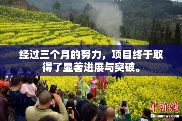 经过三个月的努力，项目终于取得了显著进展与突破。