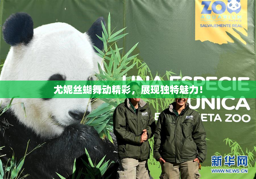 尤妮丝蝴舞动精彩，展现独特魅力！