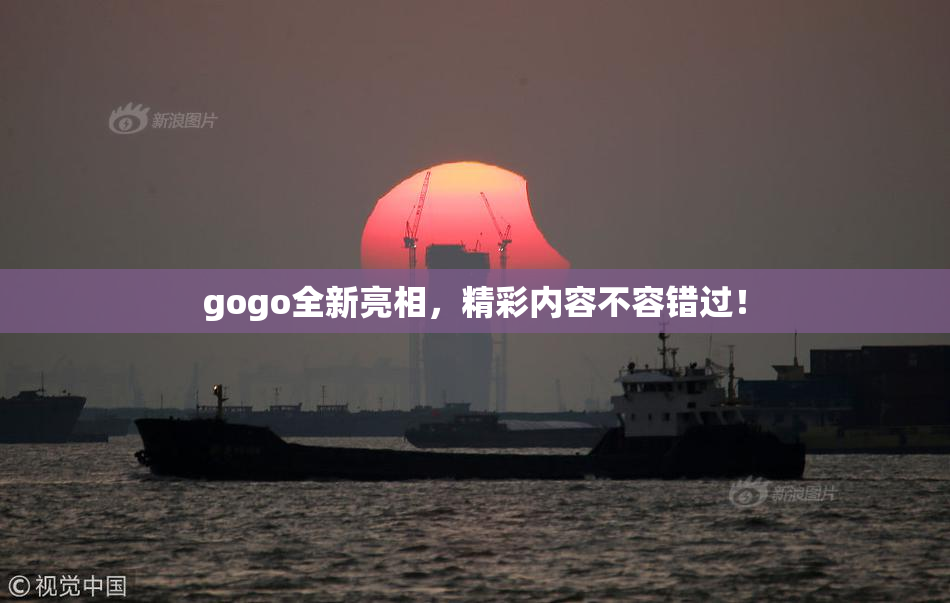 gogo全新亮相，精彩内容不容错过！